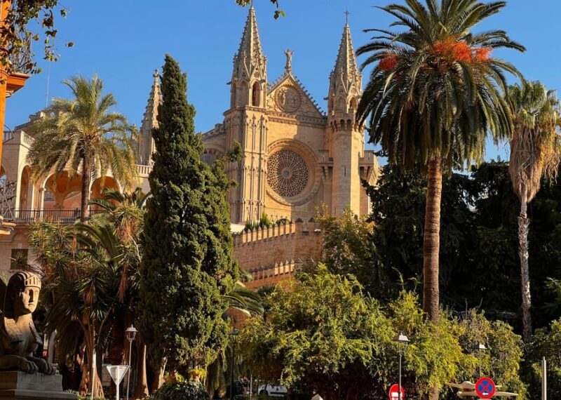 Small group- Exclusive Olive Oil & Wine Tour Mallorca - Final Thoughts