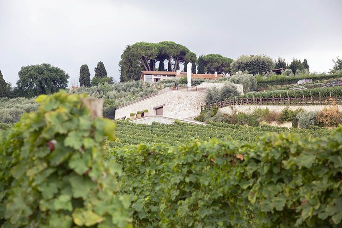 Small-Group Exclusive Winery and Wine Tasting Tour in Frascati - FAQs