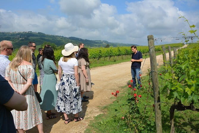 SMALL GROUP Experience Cheese & Chianti visit dairy & 3 wineries - An In-Depth Look at the Experience