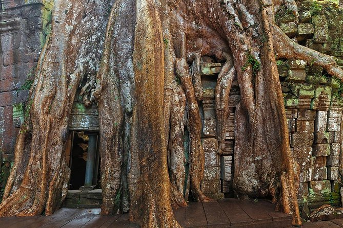 Angkor Wat Sunrise or Sunset Tour with Guide from Siem Reap - Angkor Wat sunrise (or sunset): what to expect at the first major stop