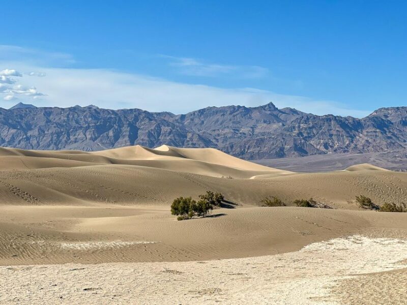Small Group Family Tour at the Death Valley from Las Vegas - Who Is This Tour Perfect For?