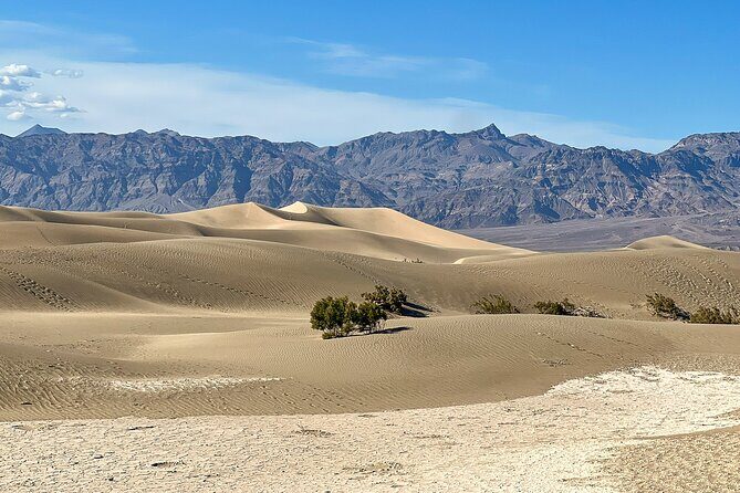 Small Group Family Tour at the Death Valley from Las Vegas - Who Should Consider This Tour?