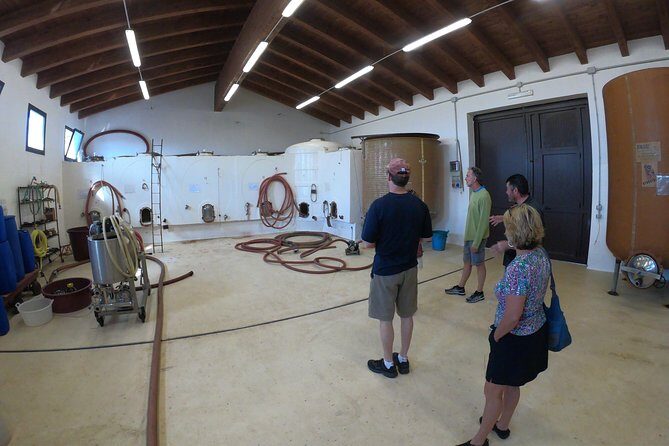 Small-Group Food and Wine Tour from Cagliari - Who Should Consider This Tour?