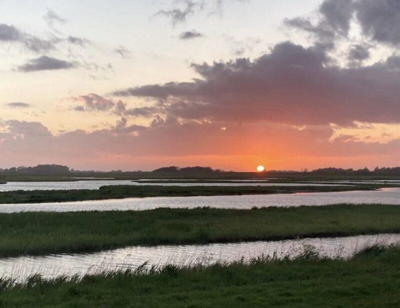 Small group full day island tour to Texel from Amsterdam - Pricing & Overall Value