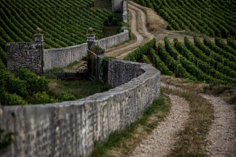 Small group full day tour in the Burgundy vineyards - Key Points