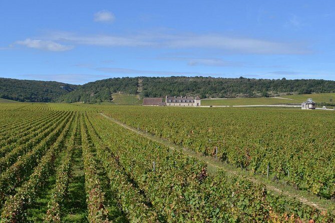 Small-Group Full-Day Tour of Côte de Nuits, Côte de Beaune Vineyards and Beaune Historical District - The Journey into Burgundy’s Vineyards and Villages