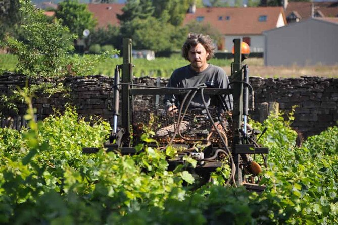 Small-Group Full-Day Tour of Côte de Nuits, Côte de Beaune Vineyards and Beaune Historical District - Second Winery Stop: Great When It’s Hosted Well