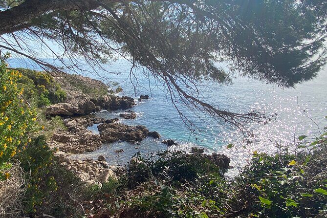 Small Group Full-Day Trip to French Riviera Highlights from Nice - Who Will This Tour Suit?