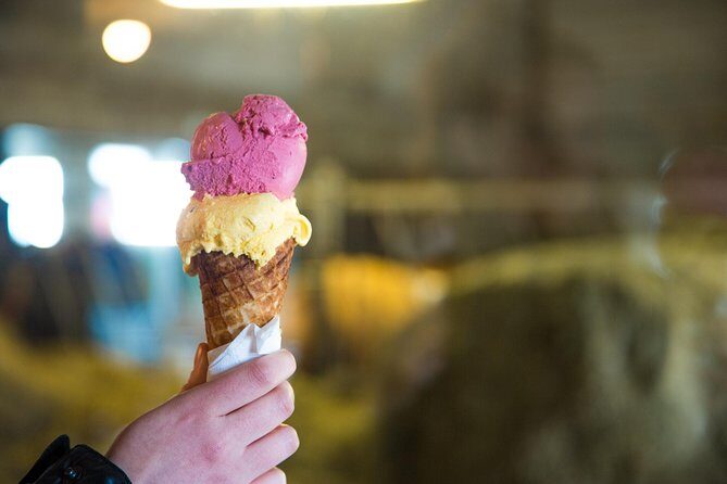 Small-Group Golden Circle Full-Day Tour from Reykjavik - FAQ