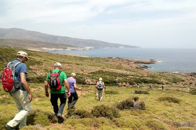 Small-Group Guided Hiking Tour in Andros with picnic on the beach - An Authentic Day in Andros: What to Expect from the Tour