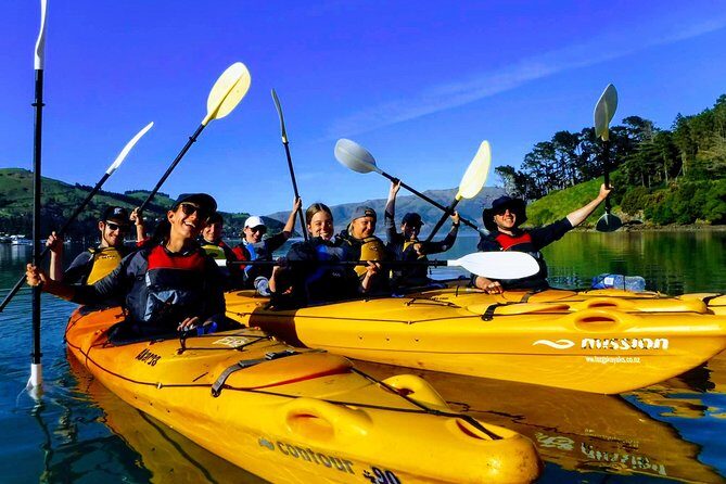 Small group guided sea kayaking in Akaroa marine reserve - Key Points