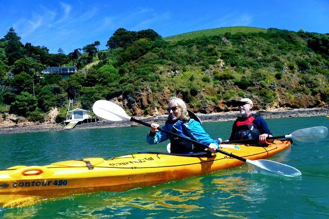 Small group guided sea kayaking in Akaroa marine reserve - What Makes This Sea Kayaking Tour Stand Out?