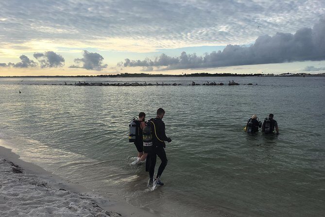 Small Group Guided Shore Dives in St. Andrews State Park, Florida - What to Expect From Your Shore Dive Experience
