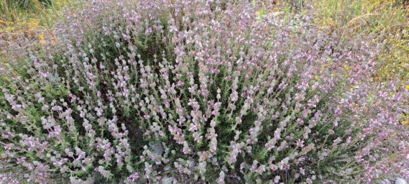 Small Group Guided Tour to Zeus Cave and Lasithi Plateau - Final Thoughts