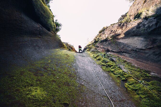 Small-Group Half-Day Canyoning in La Orotava - Discovering La Orotava’s Canyons and Forest Trails