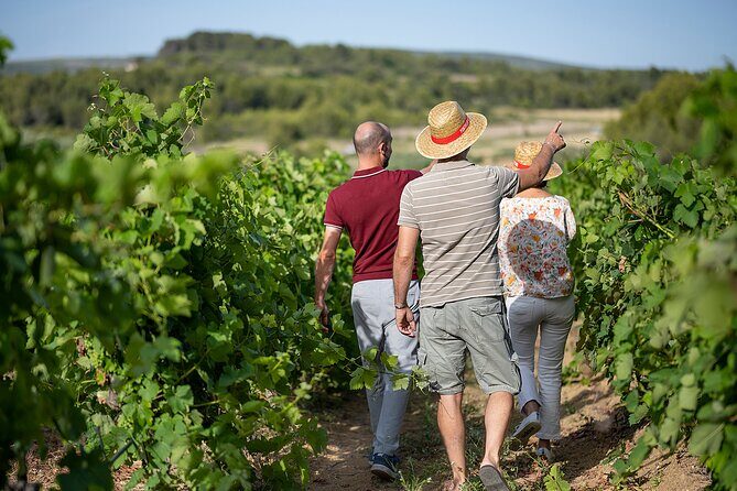 Small-Group Half-Day Châteaux of Montpellier Wine Tour - Who Will Love This Tour?