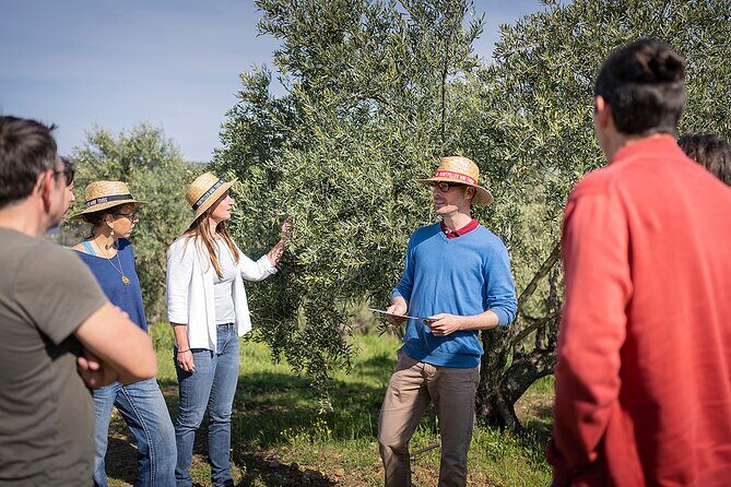 Small-Group Half-Day Languedoc Wine and Olive Tour from Montpellier - The Guide and Group Size
