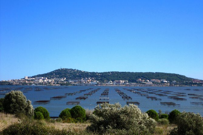 Small-Group Half-Day Languedoc Wine and Oyster Tour from Montpellier - Who Will Love This Tour?
