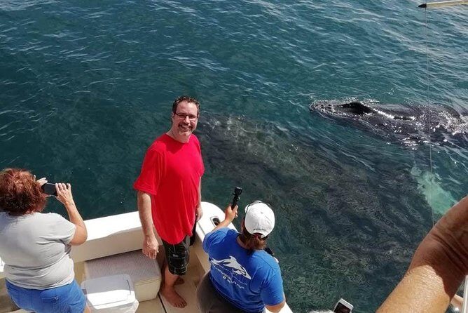 Small-Group Half-Day Whale-Watching Tour in Puerto Vallarta - Practical Details and Tips