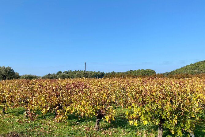Small group hiking between the beach and Kritinia Castle - The Details of the Kritinia Hike