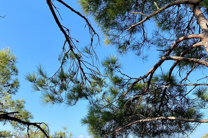 Small group hiking between the beach and Kritinia Castle - The Sum Up