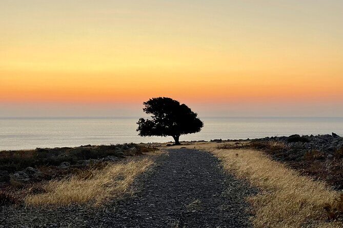 Small group hiking from Pefkos to Navarone Bay at sunrise - Real traveler insights