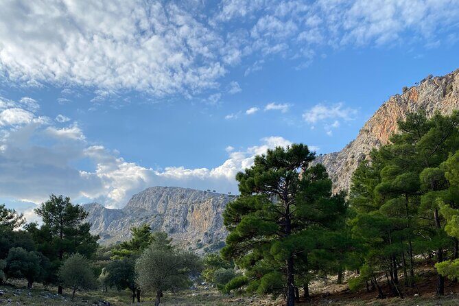 Small Group Hiking in Lindos - Who Should Consider This Tour?