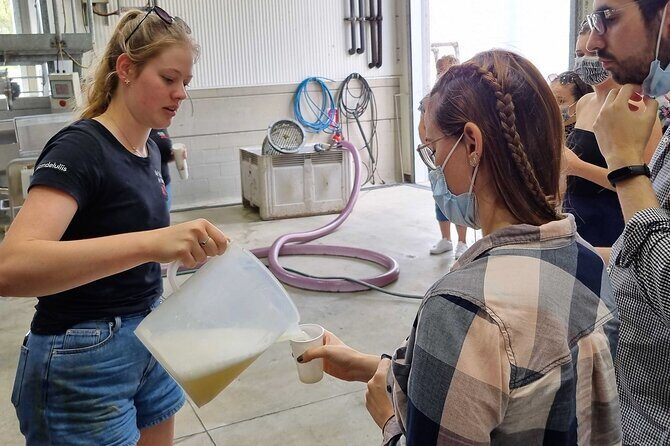 Small Group Hunter Valley Wine Tour w Lunch, Gin, Cheese & Choc - The Sum Up