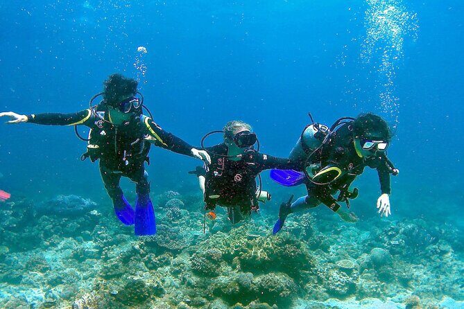 Small-Group Introductory Scuba Diving in Pula - What You Can Expect from the Experience