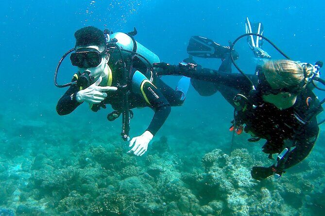 Small-Group Introductory Scuba Diving in Pula - The Bottom Line