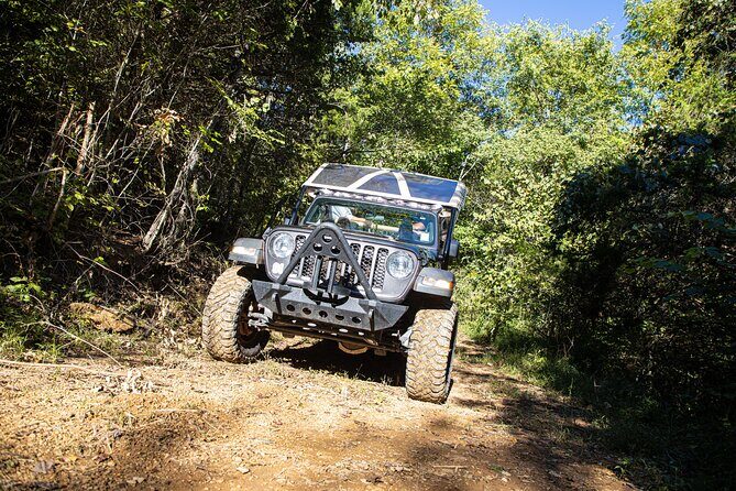 Small-Group Jeep Tour of Smoky Mountains Foothills Parkway - Pricing & Value
