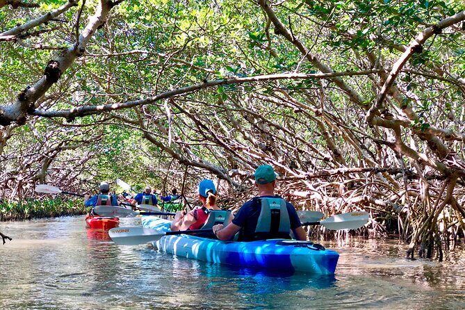 Small Group Kayak Tour of the Shell Key Preserve - Why You Might Want to Book This Kayak Tour