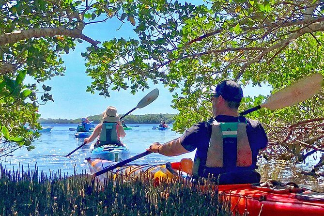 Small Group Kayak Tour of the Shell Key Preserve - A Few Considerations Before Booking