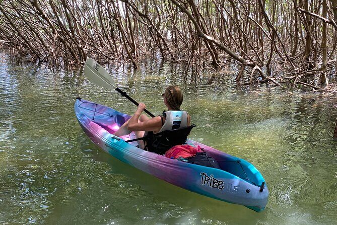 Small Group Kayak Tour of the Shell Key Preserve - Final Thoughts