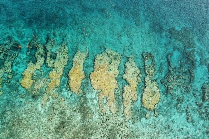 Small Group Key West Snorkel Adventure - The Underwater Destinations: What You Can Expect