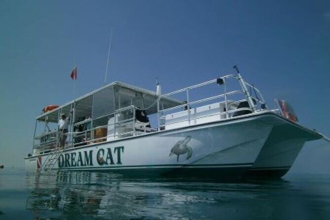 Small Group Key West Snorkel Adventure - The Guides and Overall Experience