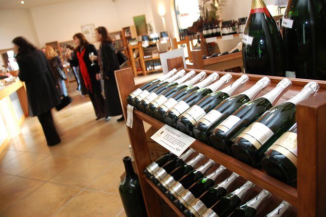 Small-Group Kumeu Wine Country Tour with Wine Tastings & Lunch - A Closer Look at the Kumeu Wine Country Tour