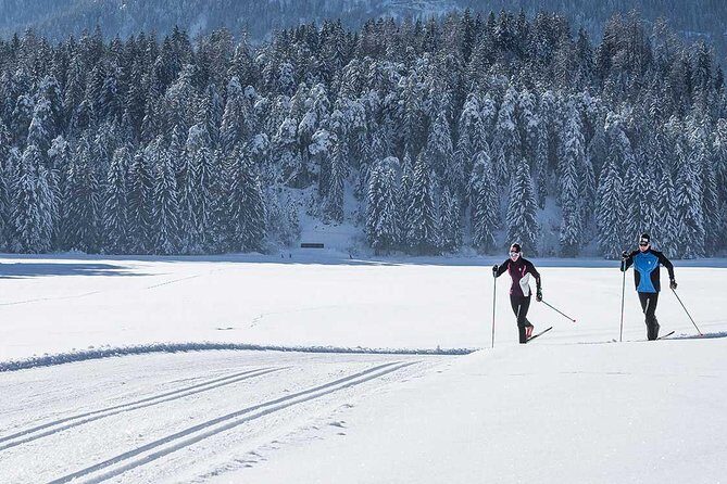 Small-Group Lapland Cross Country Ski - What Do Travelers Say?