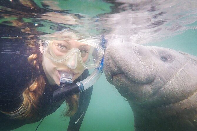 Small Group Manatee Snorkel Tour with In-Water Guide and Photographer - A Close Look at the Experience