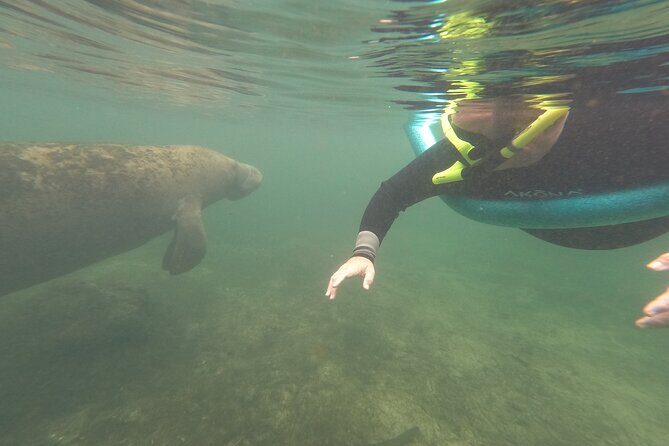 Small Group Manatee Snorkel Tour with In-Water Guide and Photographer - Final Thoughts