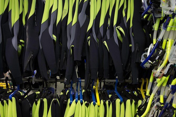 Small group Manatee Tour with In-Water Divemaster/Photographer - Pricing and Value