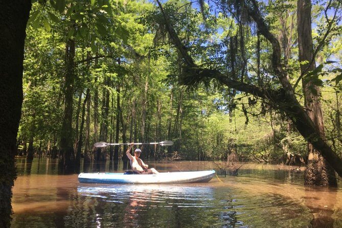 Small-Group Manchac Swamp Kayak Tour - Key Points