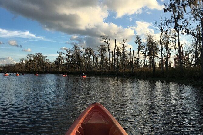 Small-Group Manchac Swamp Kayak Tour - The Real Deal: Pros and Cons