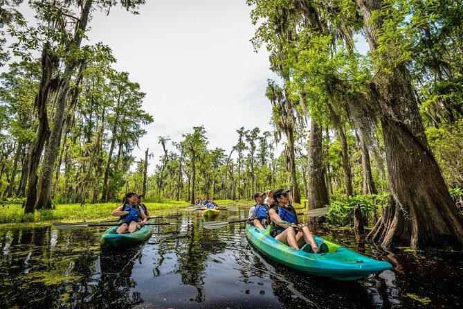Small-Group Manchac Swamp Kayak Tour with Local Guide - Key Points