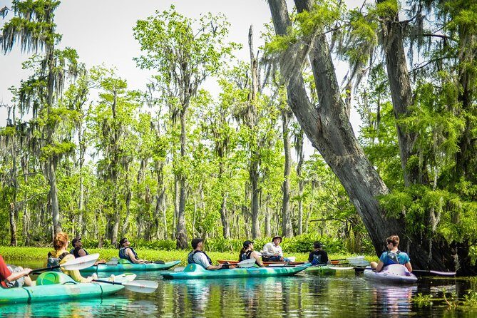 Small-Group Manchac Swamp Kayak Tour with Local Guide - Final Thoughts: Who Will Love This?