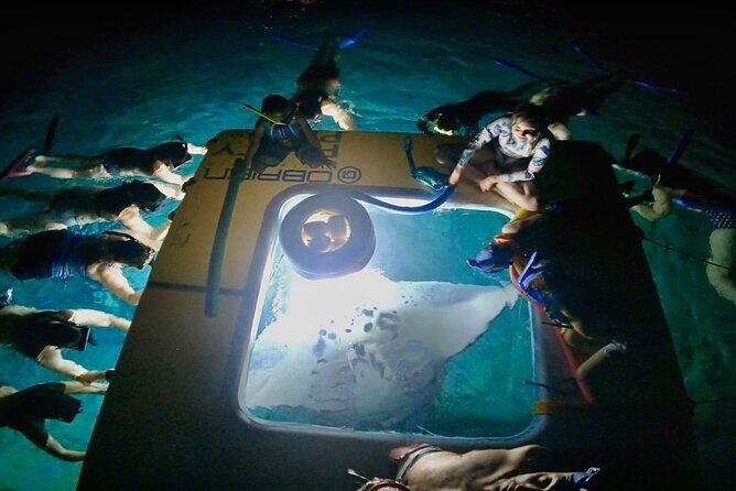 Small-Group Manta Ray Night Snorkel from Kona - The Itinerary You Can Expect