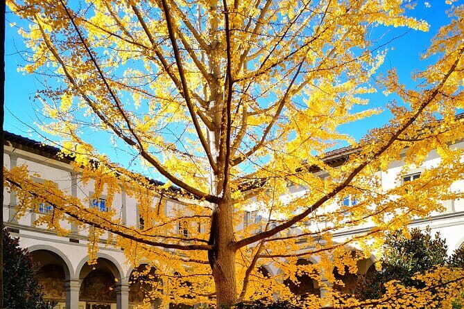 Small Group Medici and Michelangelo Tour in Florence - What Could Be Improved?