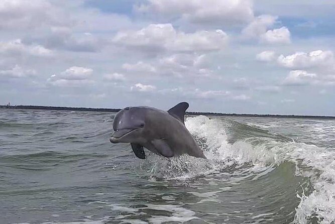 Small Group Motorboat Eco Tour of the Everglades - Key Points