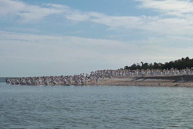 Small Group Motorboat Eco Tour of the Everglades - The Practicalities: What to Expect