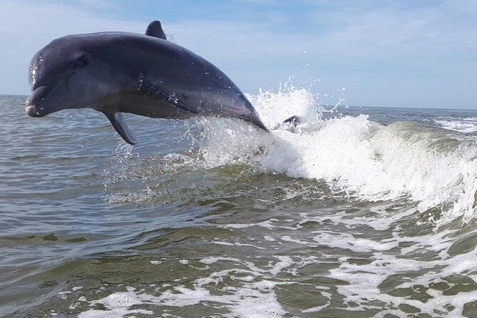 Small Group Motorboat Eco Tour of the Everglades - Final Thoughts